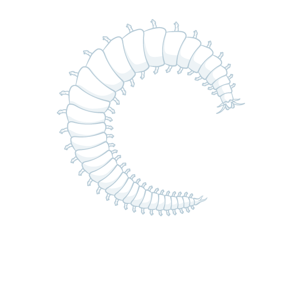 Prochaete logo white