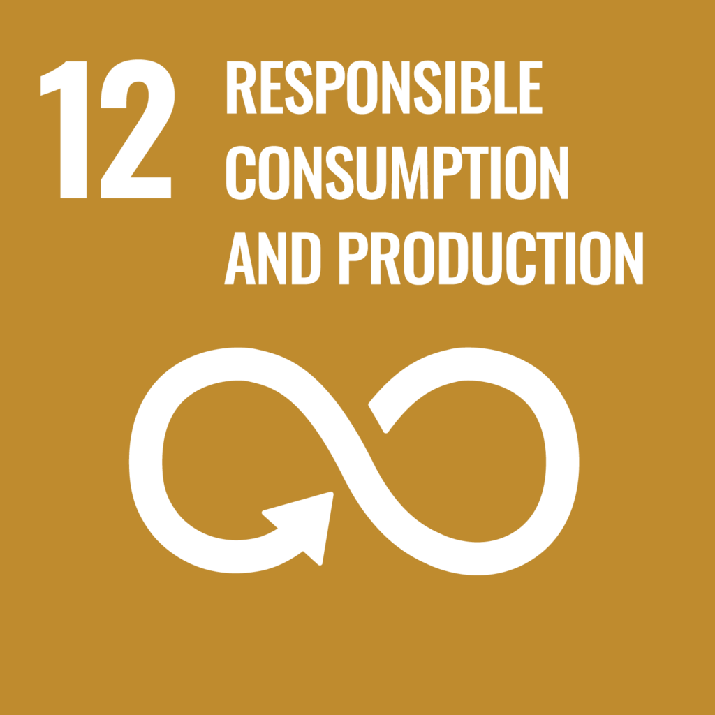 Sustainability policy UN goal 12