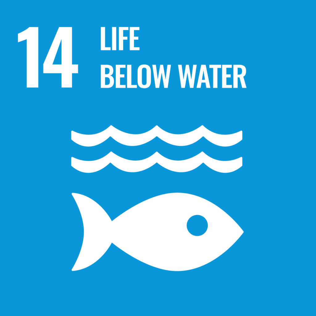 Sustainability policy UN goal 14