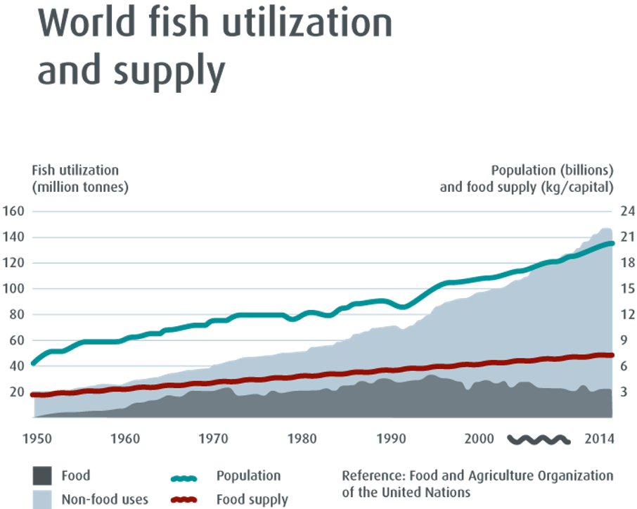 World fish utilization and supply