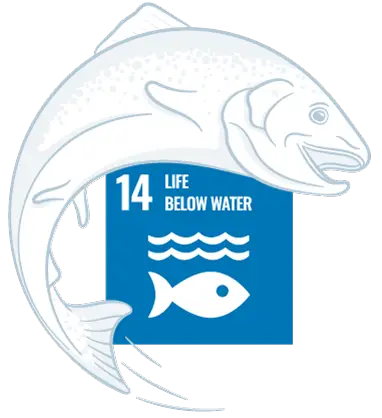 ProChaete UN SDG 14 Live below water