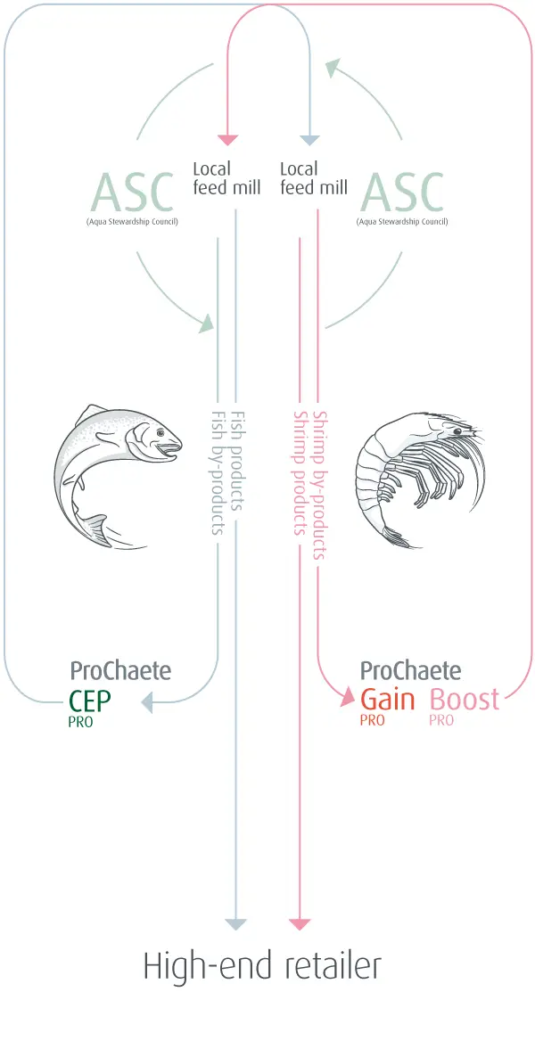 Prochaete circular feed chain, sustainability at Prochaete