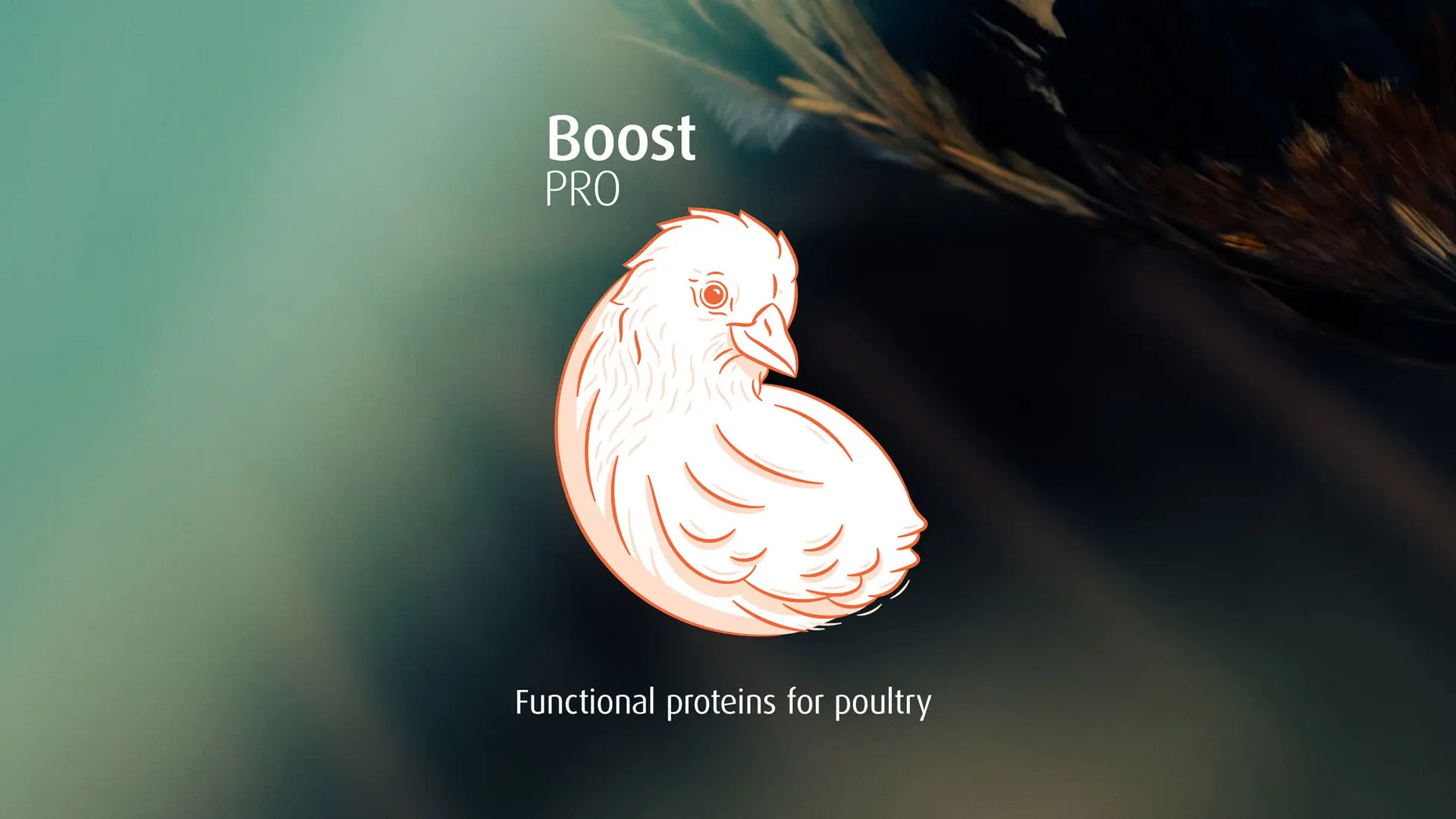 Boost PRO - Prochaete