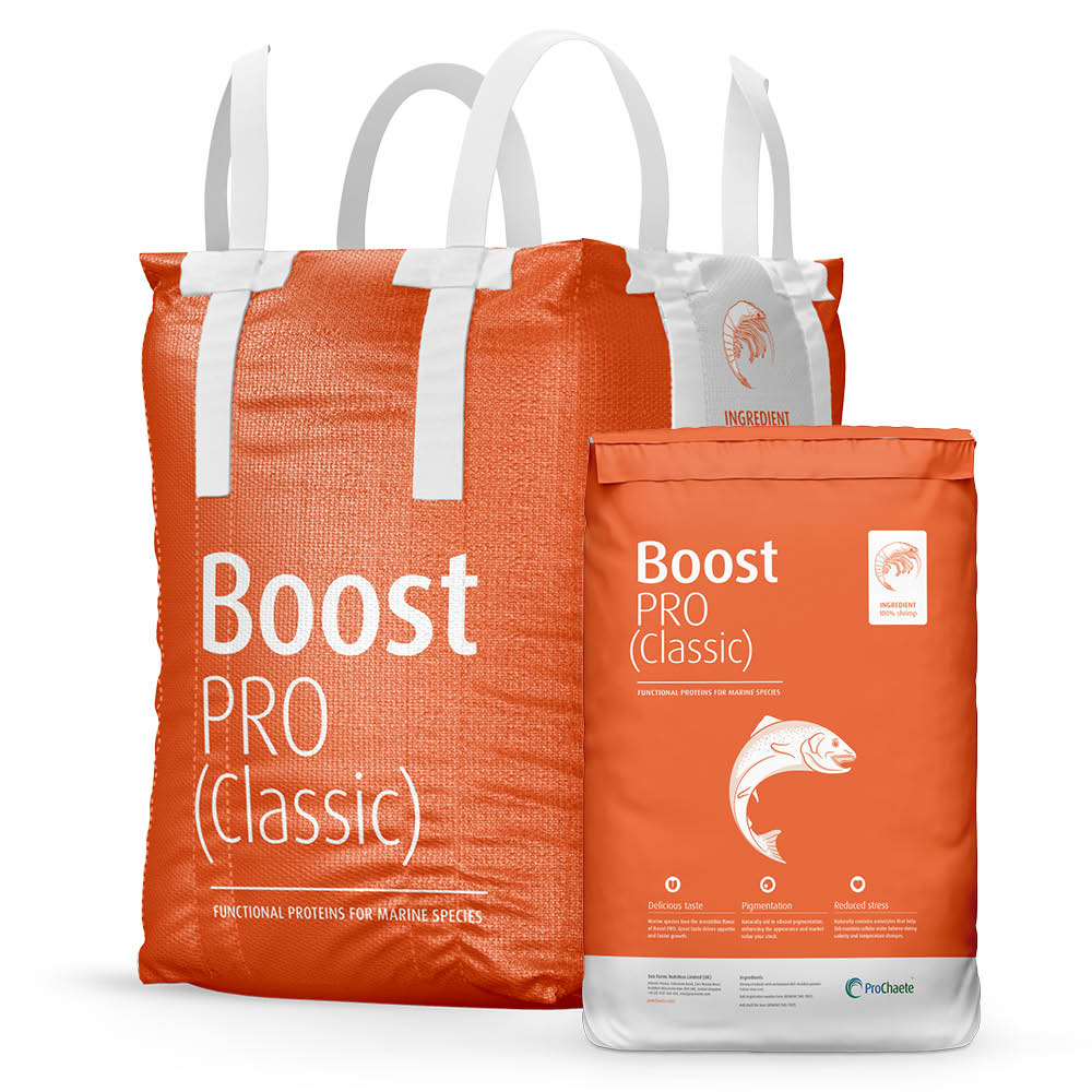 Boost PRO classic
